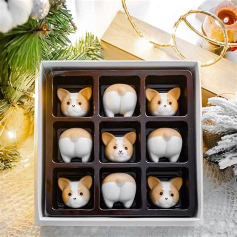 Corgi Marshmallow